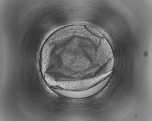 X0000098071102200805020951