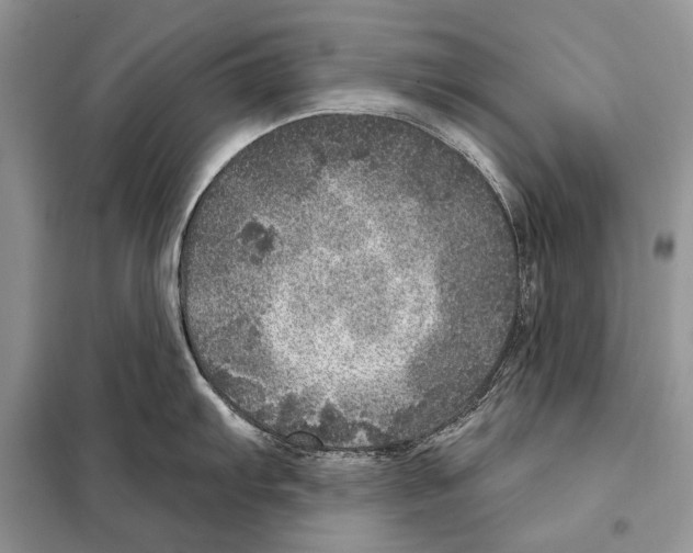 X0000098071103200805020951