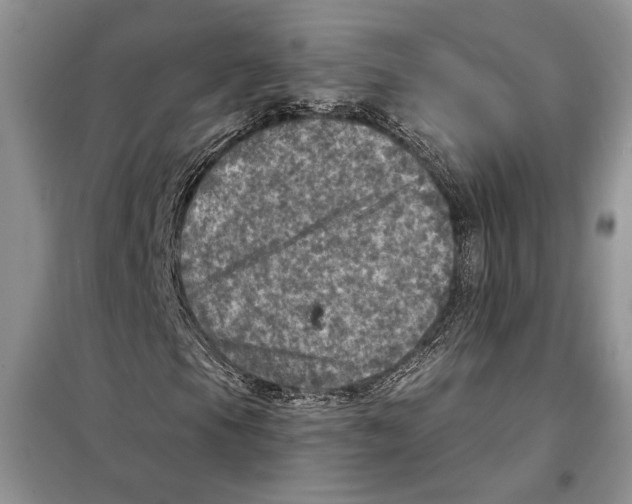 X0000098071105200805020951