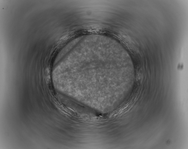 X0000098071106200805020951