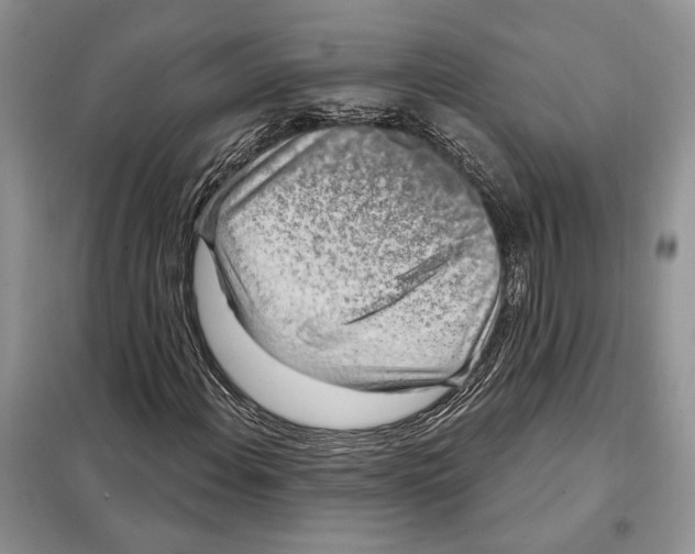 X0000098071108200805020951