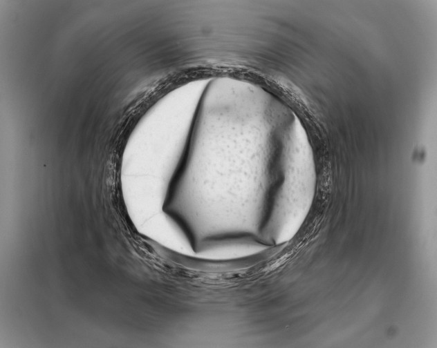 X0000098071110200805020951