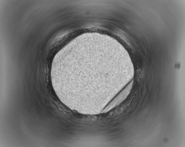 X0000098071111200805020951