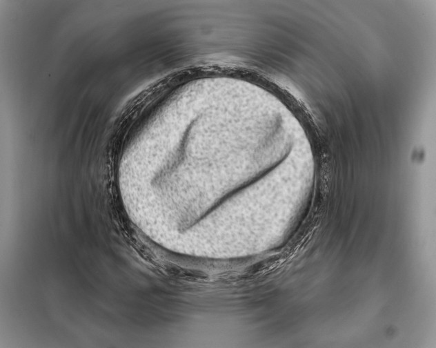 X0000098071112200805020951