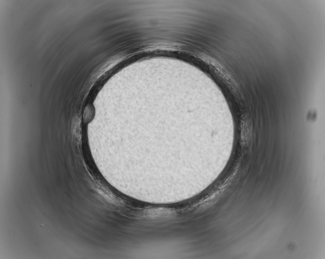 X0000098071113200805020951