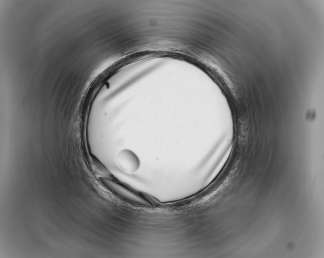 X0000098071114200805020951