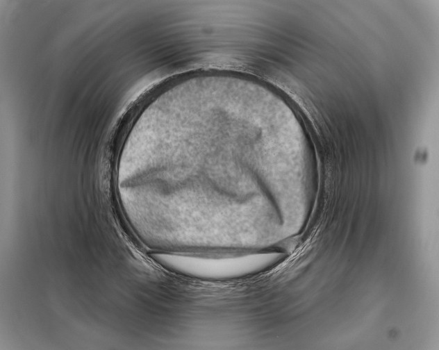 X0000098071115200805020951