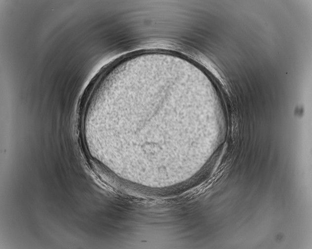 X0000098071116200805020951