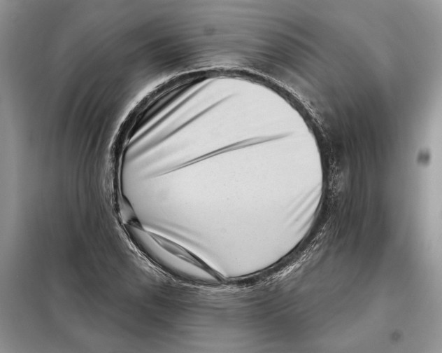 X0000098071118200805020951