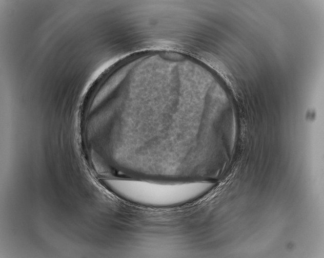 X0000098071120200805020951