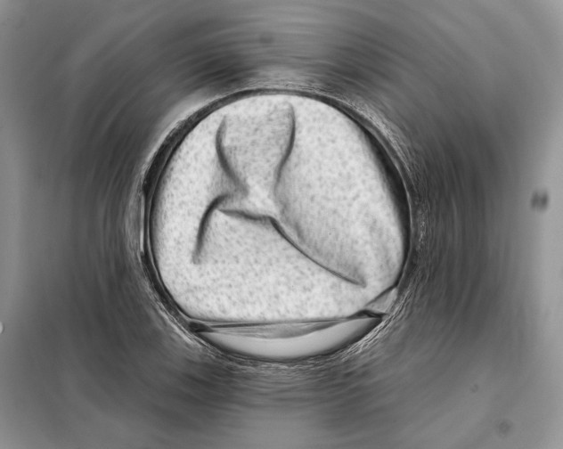 X0000098071123200805020951