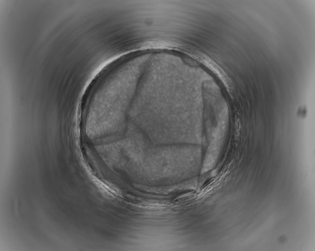 X0000098071124200805020951