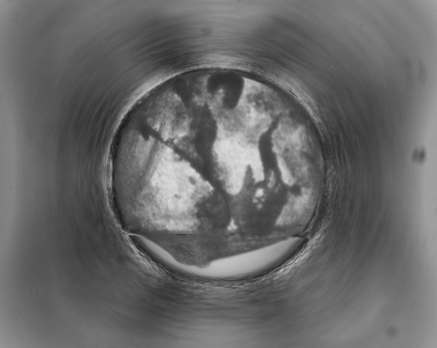 X0000098071125200805020951