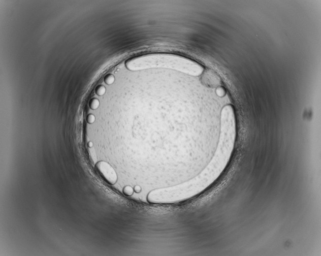 X0000098071126200805020951