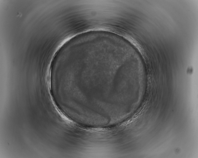 X0000098071127200805020951