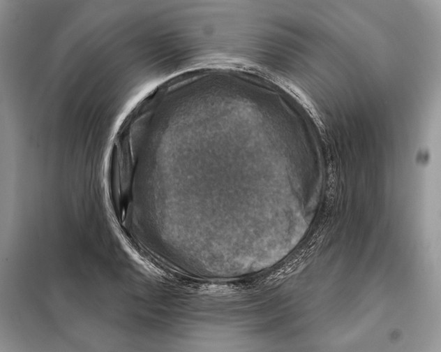 X0000098071128200805020951