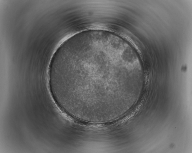 X0000098071133200805020951