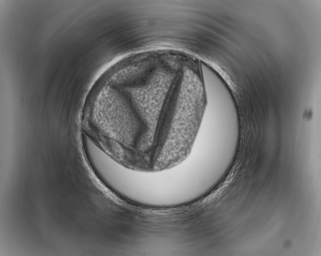 X0000098071134200805020951