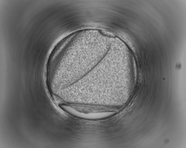 X0000098071136200805020951