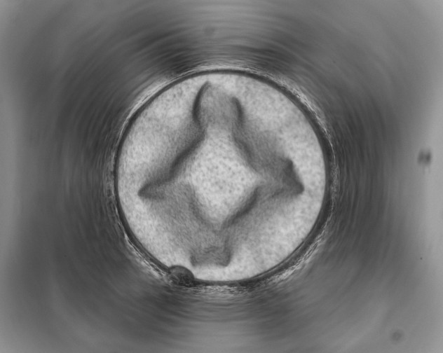 X0000098071137200805020951