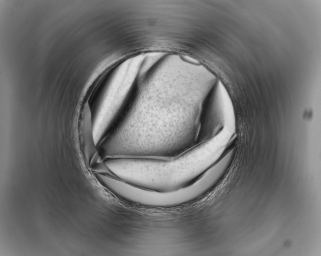 X0000098071138200805020951