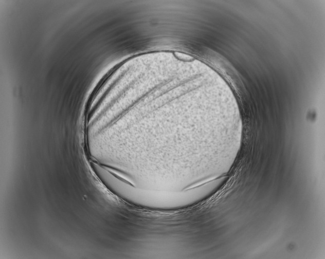 X0000098071140200805020951