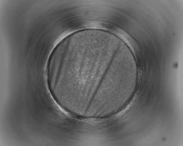 X0000098071141200805020951