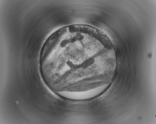 X0000098071142200805020951