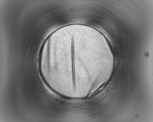 X0000098071143200805020951