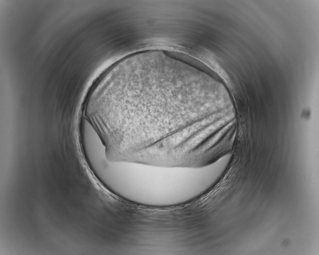 X0000098071144200805020951