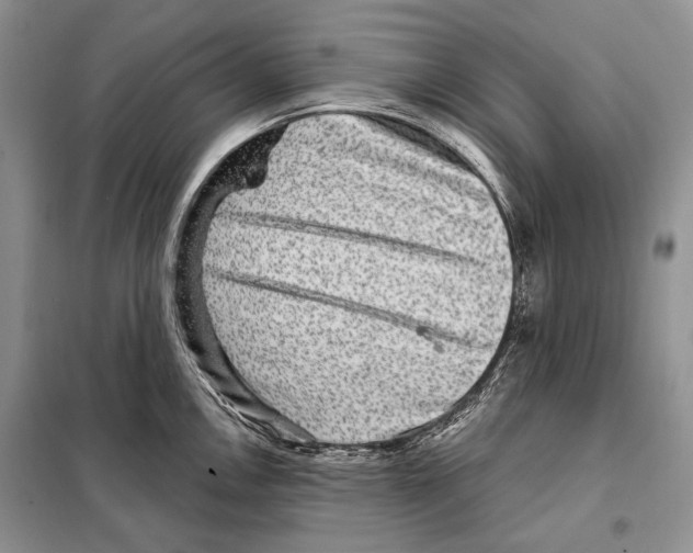 X0000098071146200805020951