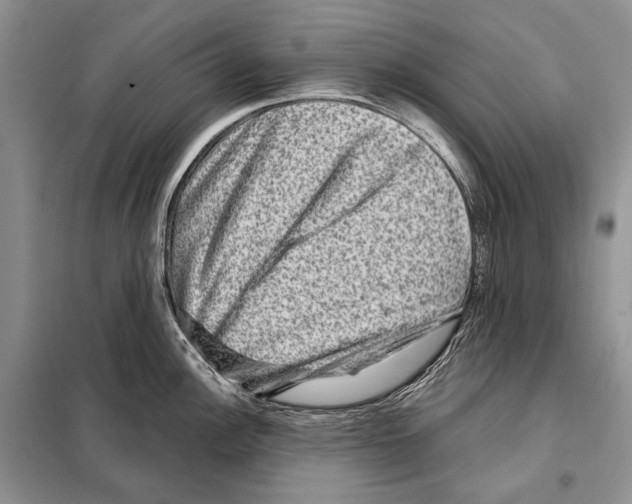 X0000098071148200805020951