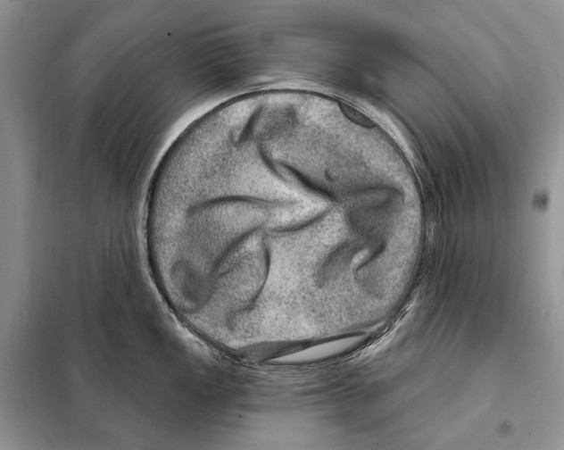 X0000098071149200805020951