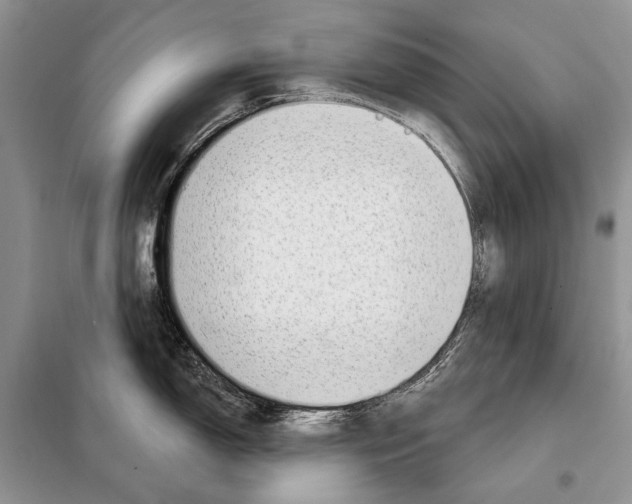 X0000098071150200805020951