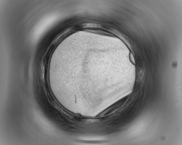 X0000098071151200805020951