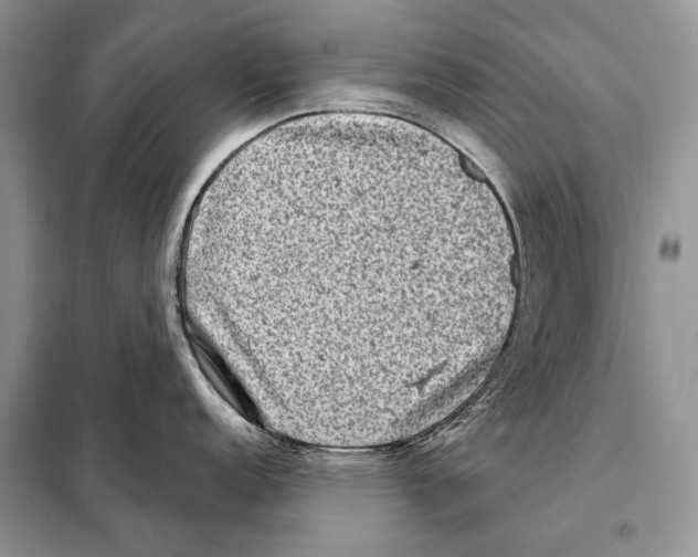 X0000098071152200805020951