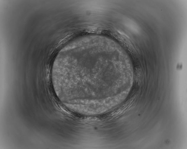 X0000098071154200805020951