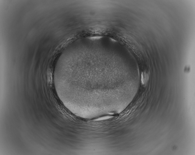 X0000098071155200805020951