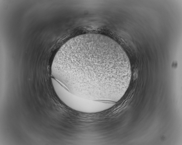 X0000098071156200805020951