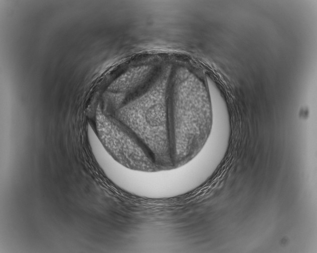 X0000098071157200805020951