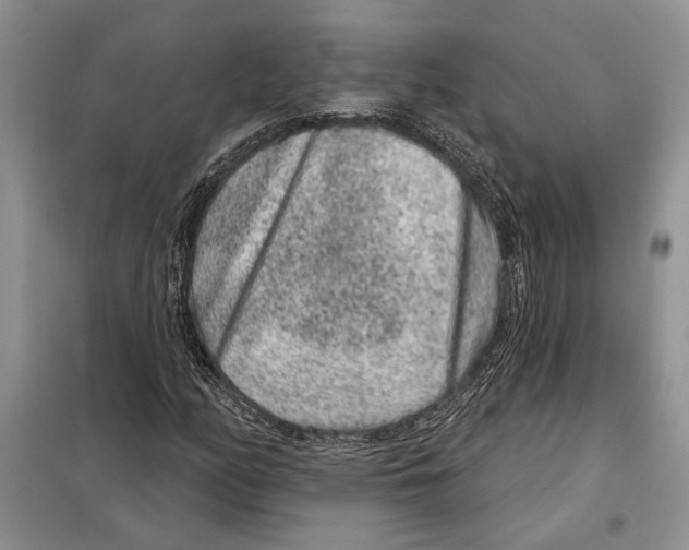 X0000098071158200805020951