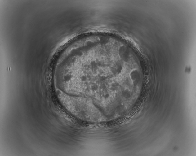 X0000098071159200805020951