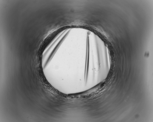 X0000098071160200805020950