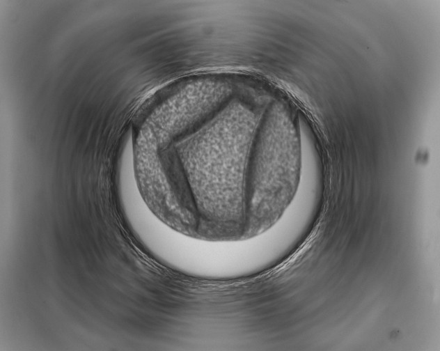 X0000098071161200805020950