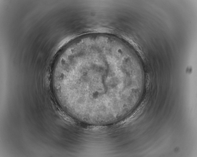 X0000098071163200805020950