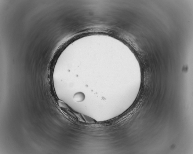 X0000098071164200805020950