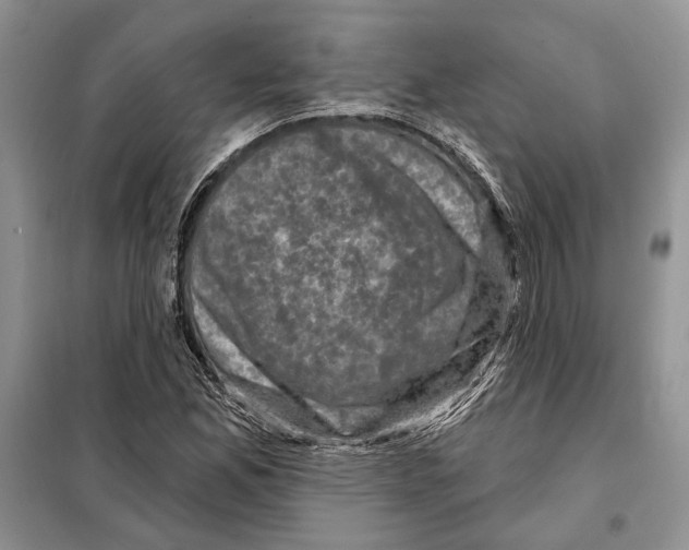 X0000098071165200805020950