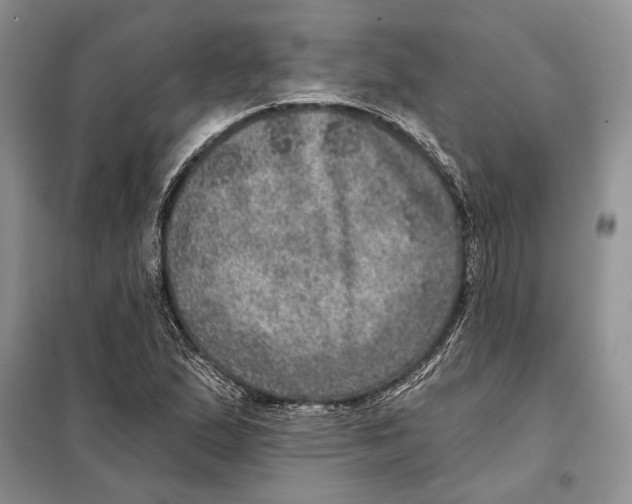 X0000098071167200805020950