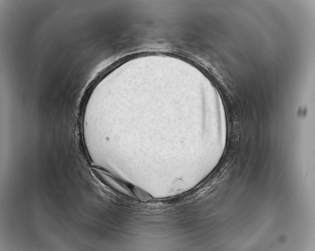 X0000098071168200805020950