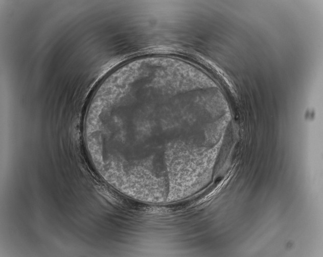 X0000098071170200805020950